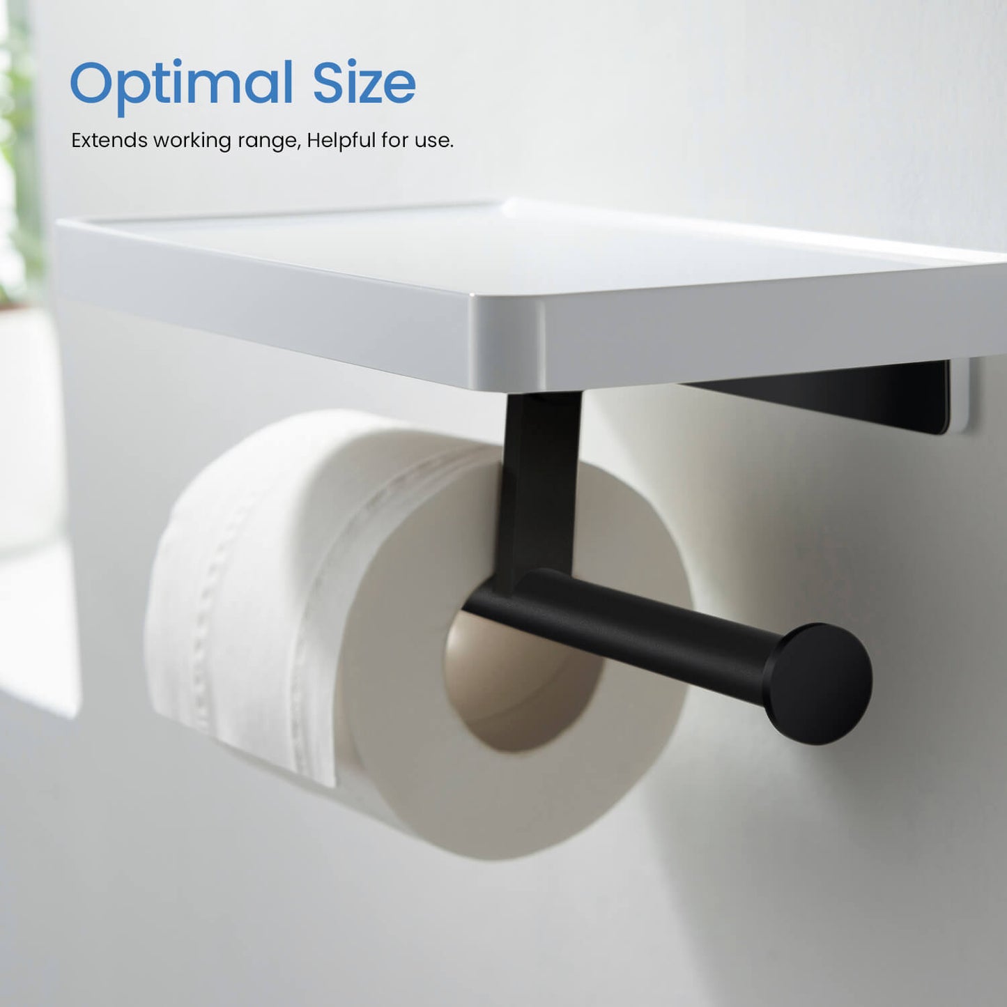 Stainless Steel Double Tissue Holder with ABS Shelf AA110055