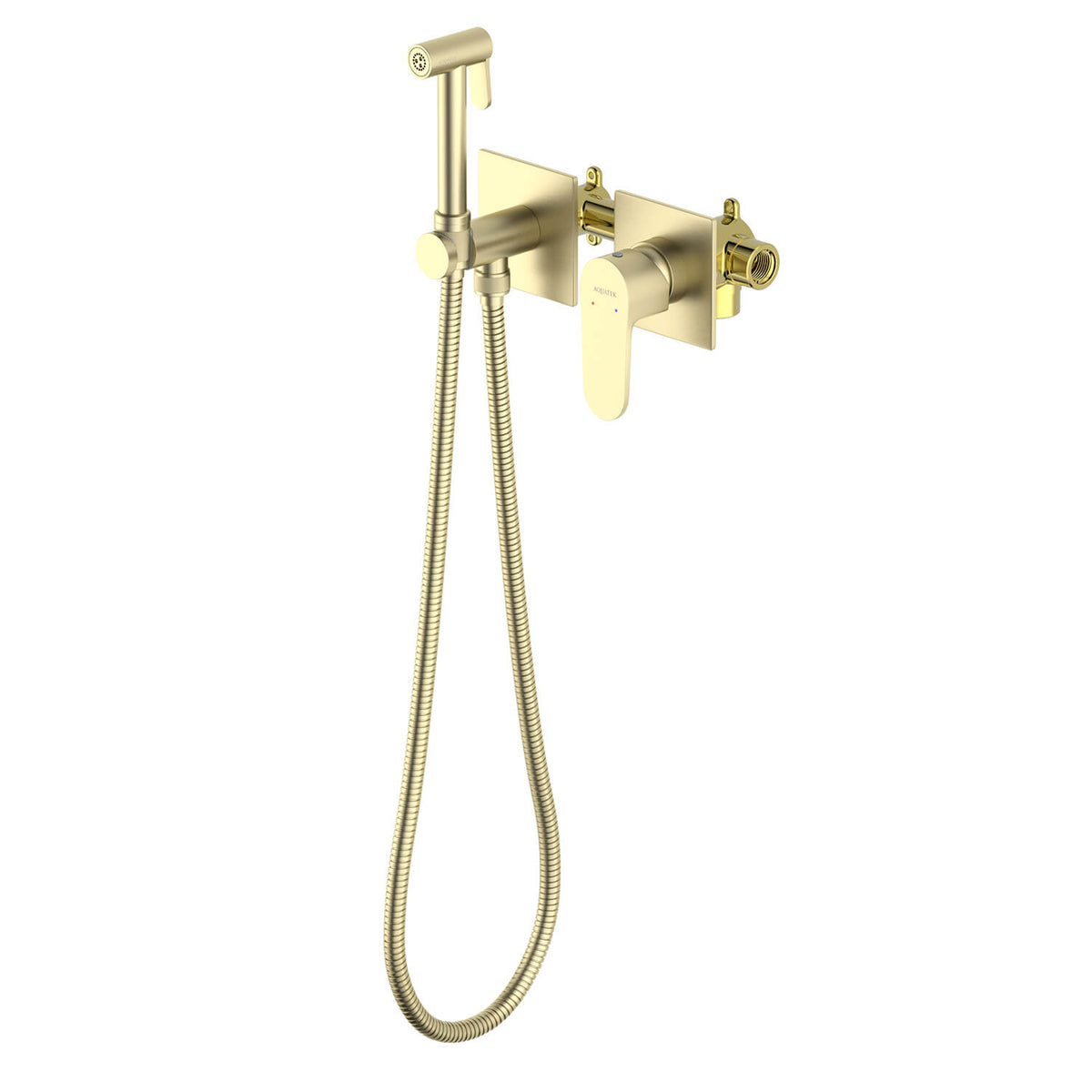 Tender Concealed shower mixer with hand bidet spray set AT0412101