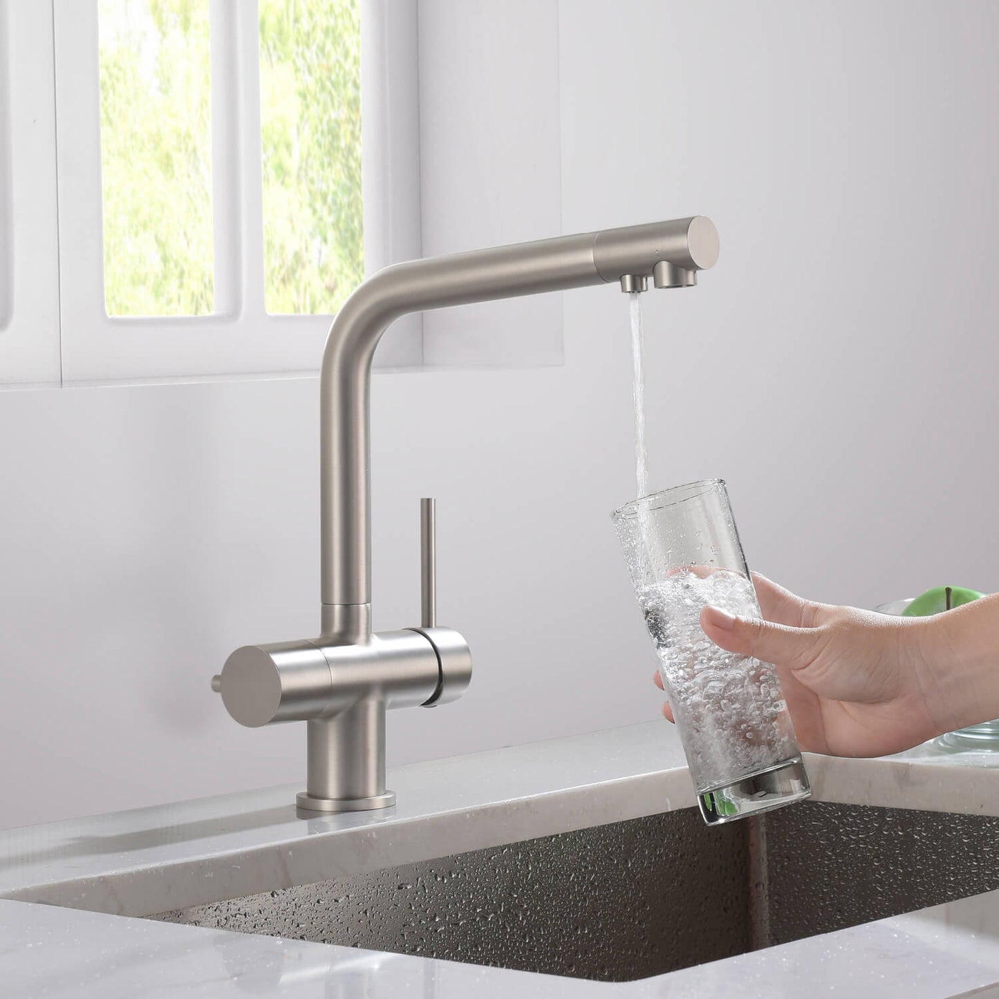 Aquavit Arena Series 3-in-1 Water Filter Kitchen Faucet FF10021
