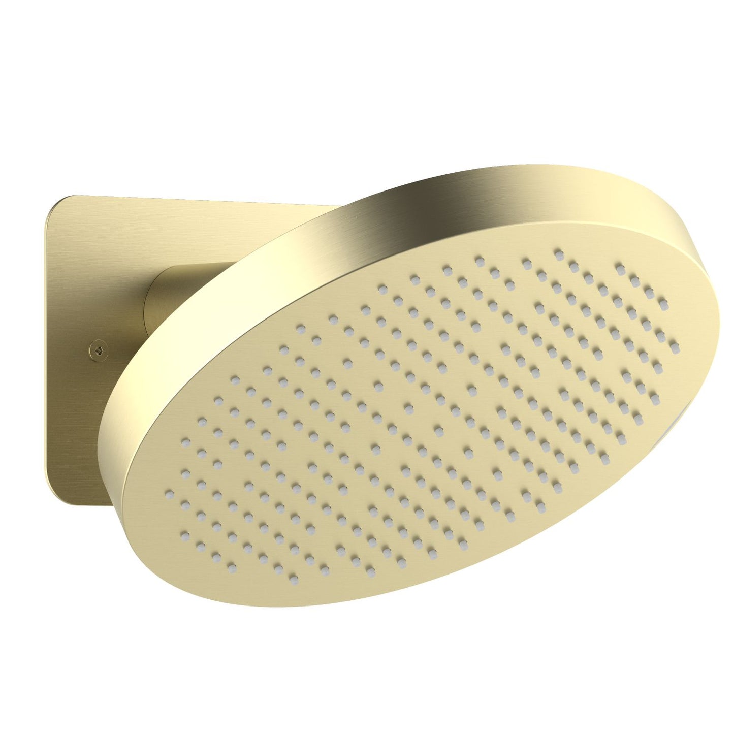 Wall-mounted stainless steel shower head with installation box