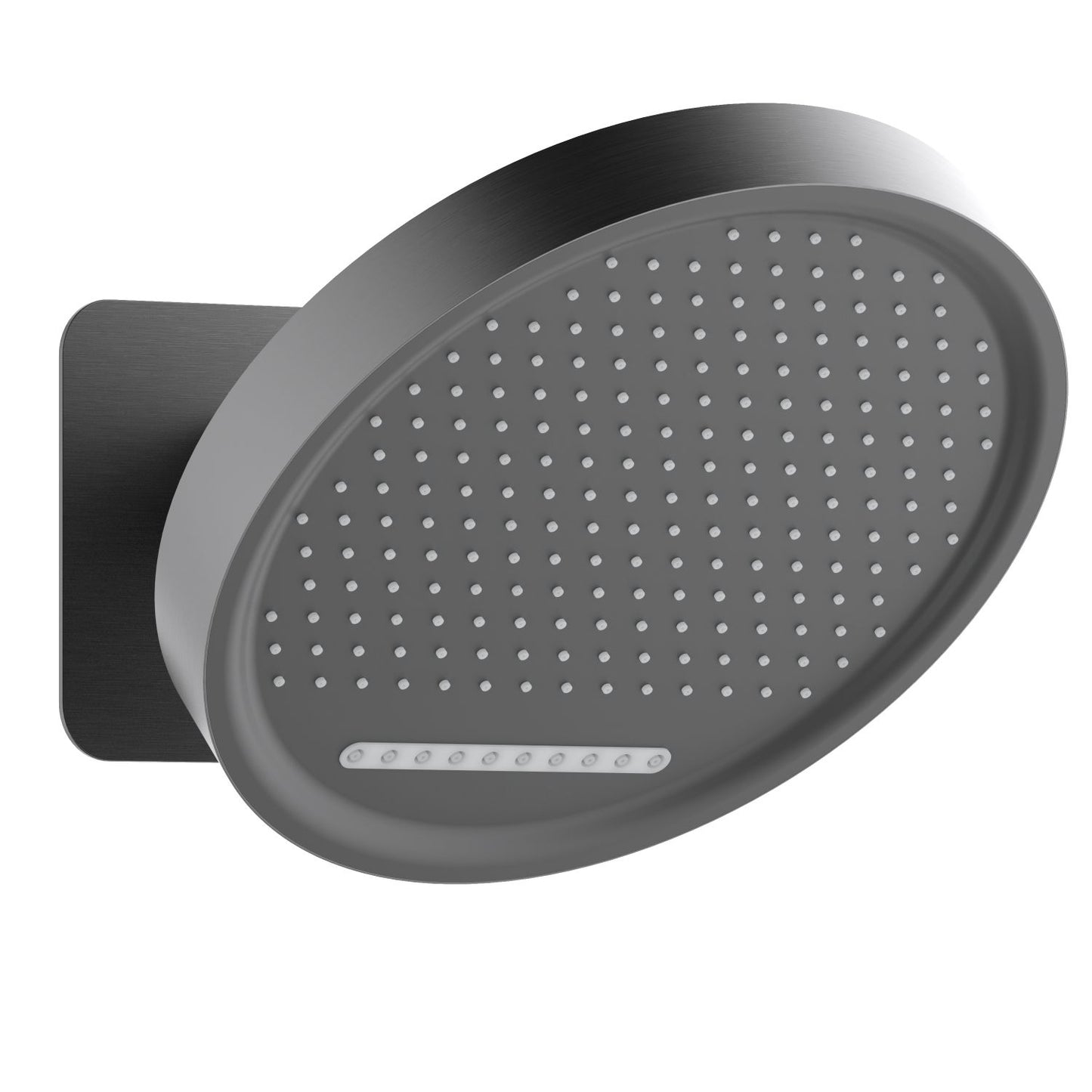 Brushed gunmetal adjustable round shower head