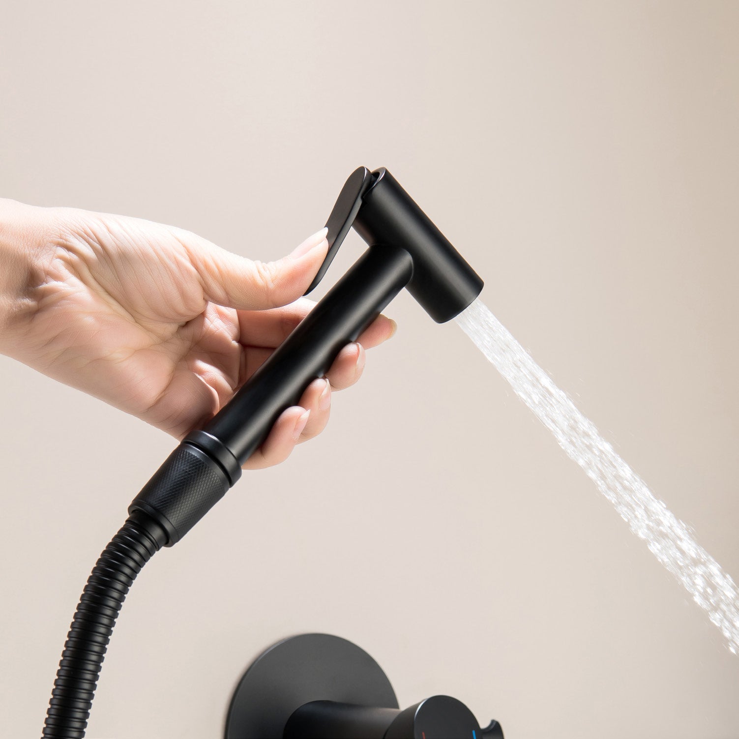 Bidet Spray