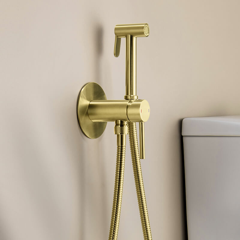 Wall Concealed Bidet Sets