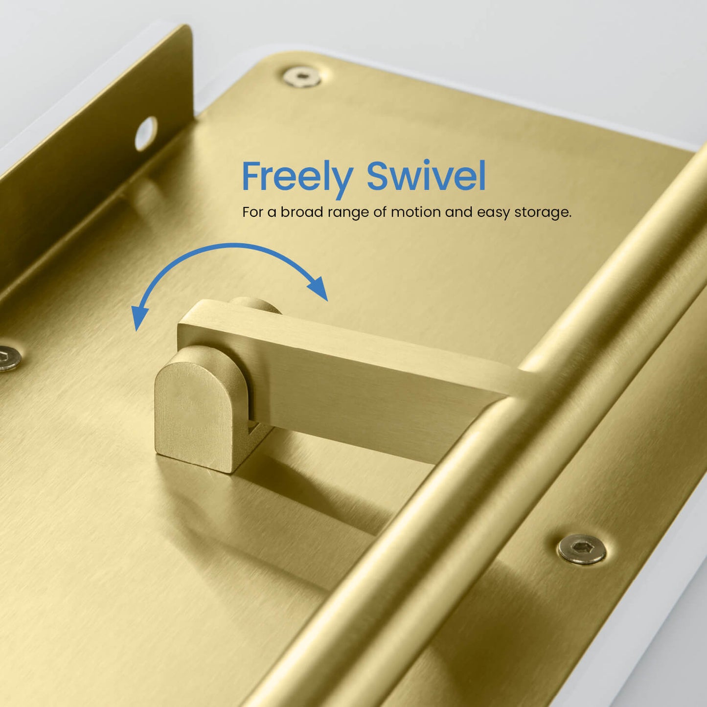 Stainless Steel Double Tissue Holder with ABS Shelf AA110055