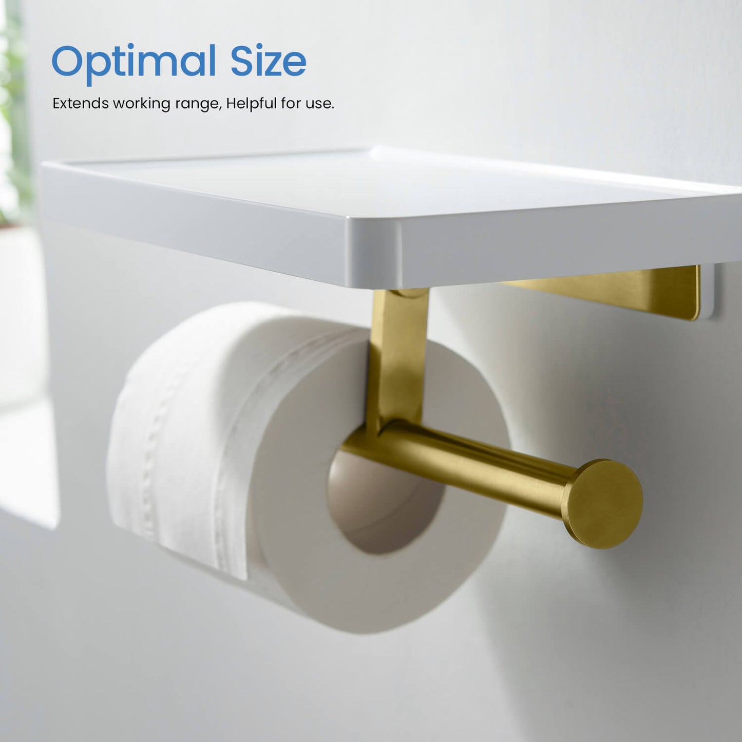 Stainless Steel Double Tissue Holder with ABS Shelf AA110055