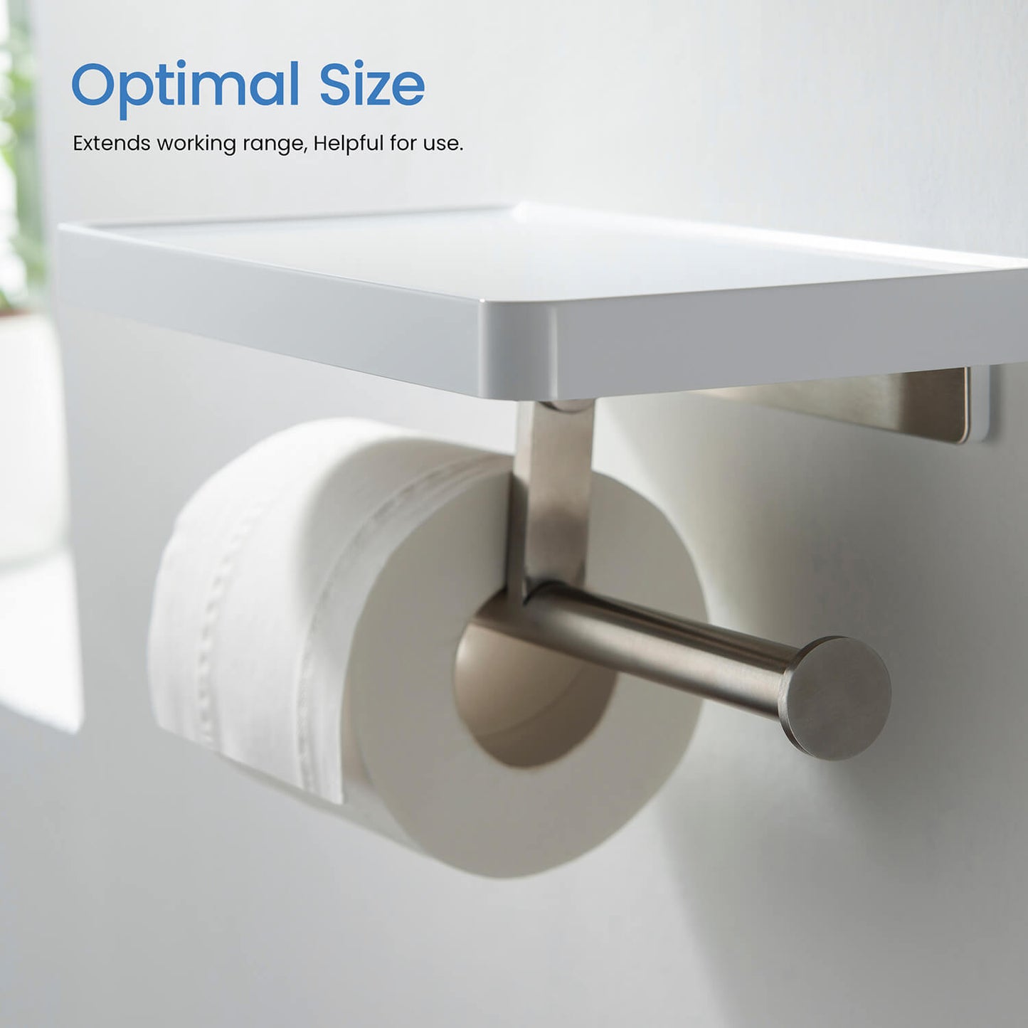 Stainless Steel Double Tissue Holder with ABS Shelf AA110055