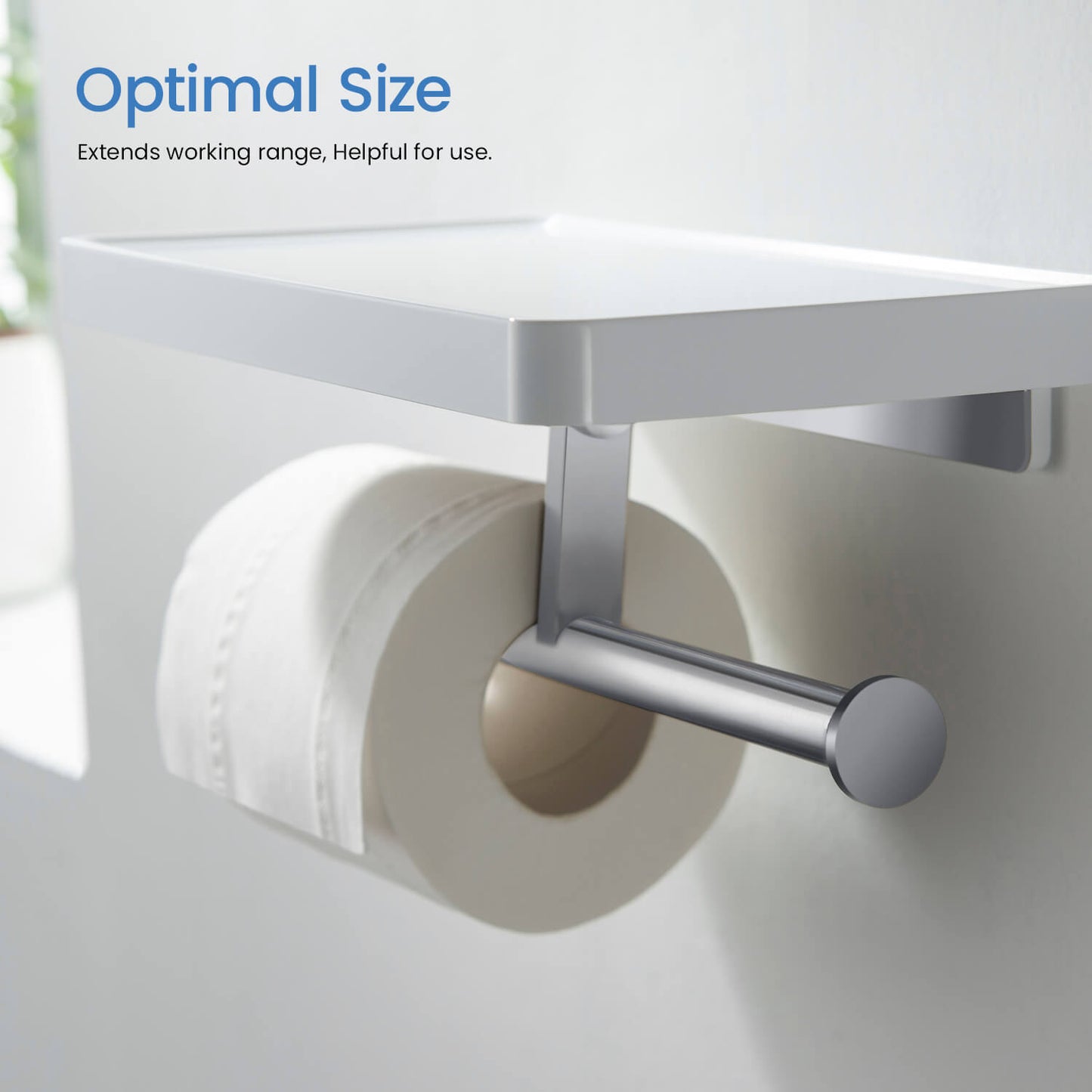Stainless Steel Double Tissue Holder with ABS Shelf AA110055