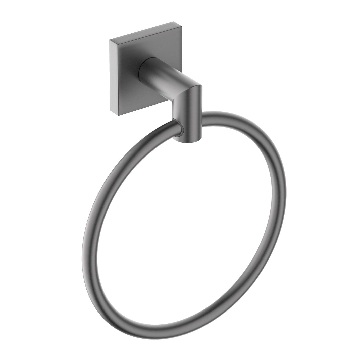 Aquavit Vista Functional SUS304 Towel ring AA500150