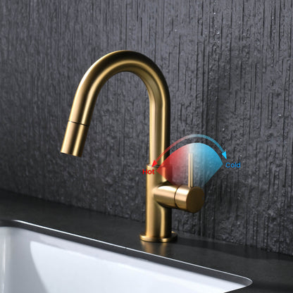 Aquavit Circular Series Pull Out Bathroom Faucet Magnetic Docking Lead Free Brass AT090811