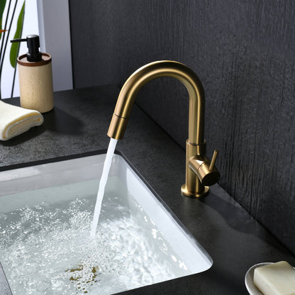 Aquavit Circular Series Pull Out Bathroom Faucet Magnetic Docking Lead Free Brass AT090811