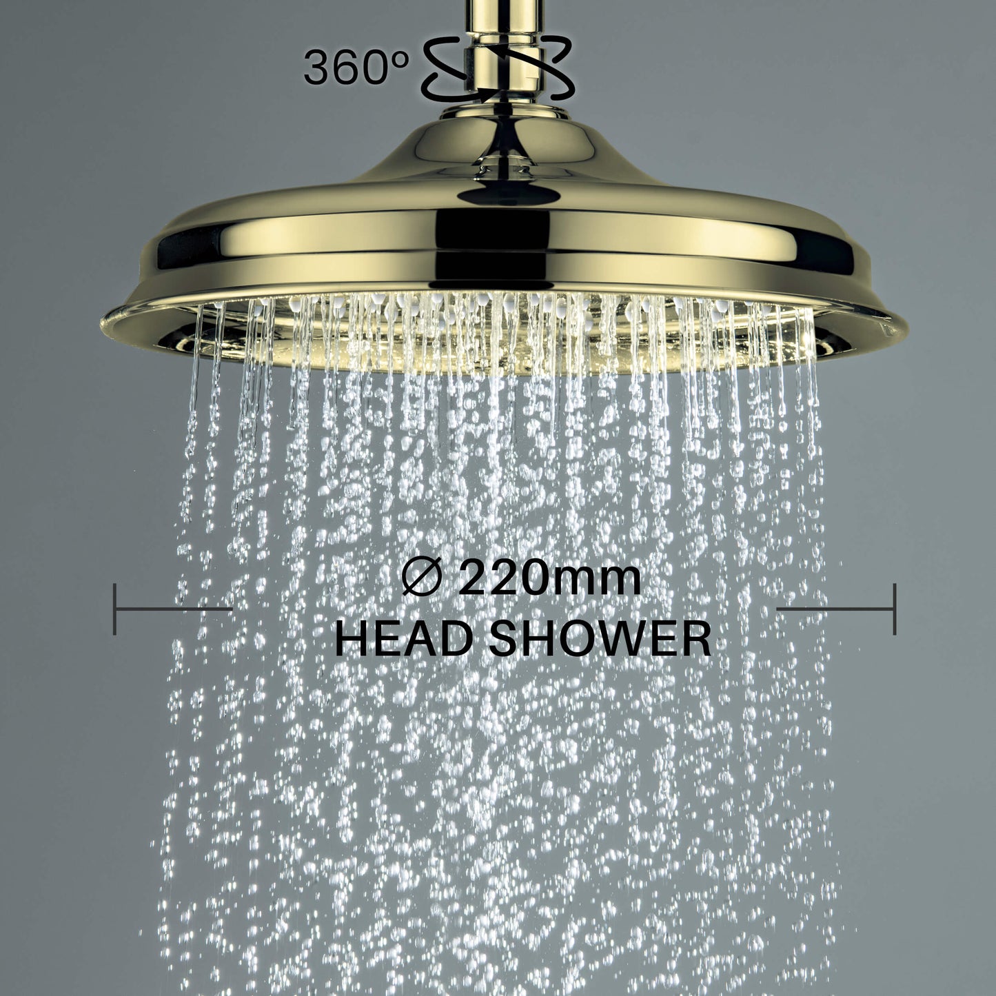 Aquavit Victoria Ø220 mm SUS304 overhead rain shower with swivel joint