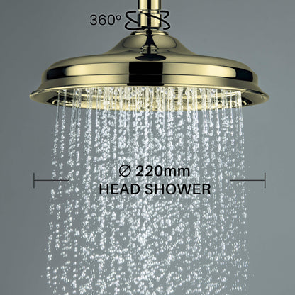 Aquavit Victoria Ø220 mm SUS304 overhead rain shower with swivel joint