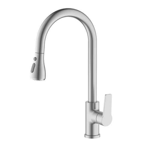 Aquavit Sense single handle kitchen faucet with 2 ways head shower AT424200