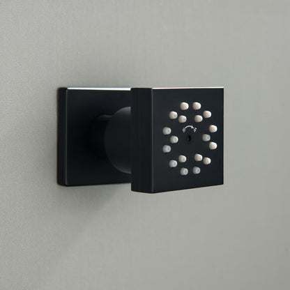 BJ07 matte brass two-function body jet in details