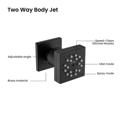 BJ07 matte brass two-function body jet features