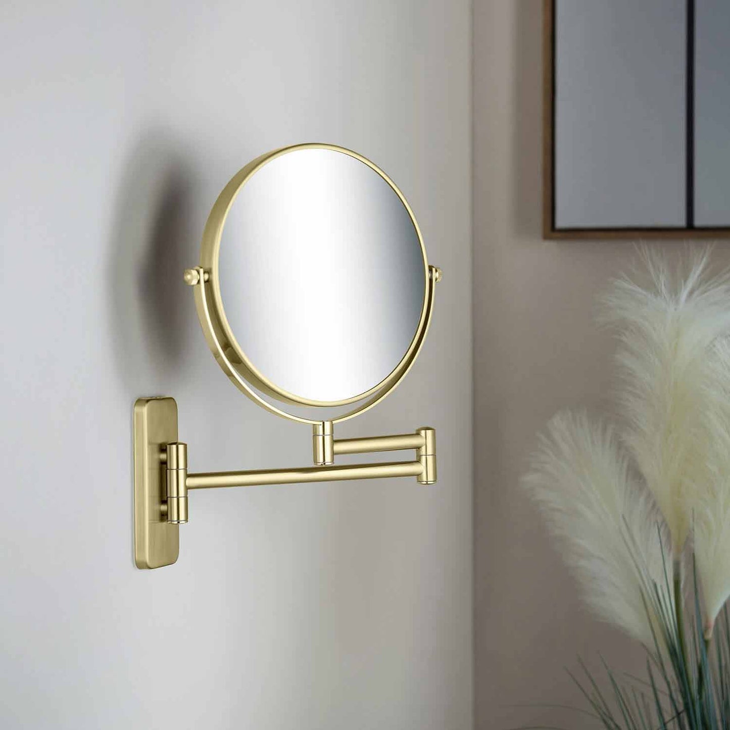 5X Zoom Professional Makeup Mirror CM011500