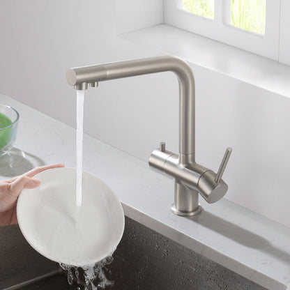 Aquavit Arena Series 3-in-1 Water Filter Kitchen Faucet FF10021