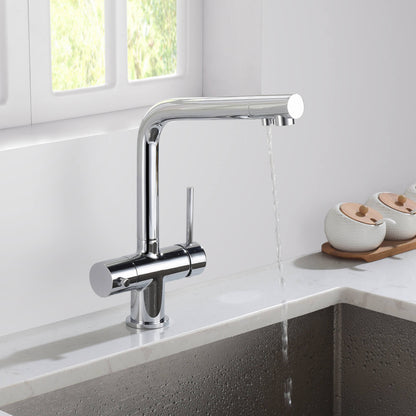 Aquavit Arena Series 3-in-1 Water Filter Kitchen Faucet FF10021