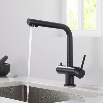 Aquavit Arena Series 3-in-1 Water Filter Kitchen Faucet FF10021