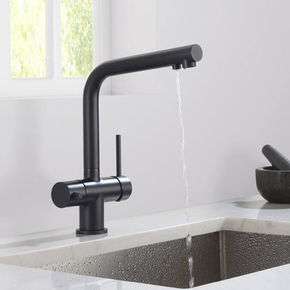 Aquavit Arena Series 3-in-1 Water Filter Kitchen Faucet FF10021
