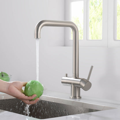 Aquavit Arena Series Water Filter Kitchen Faucet FF10022