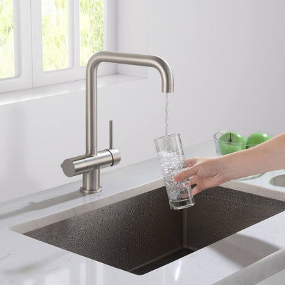 Aquavit Arena Series Water Filter Kitchen Faucet FF10022