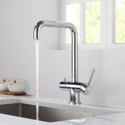 Aquavit Arena Series Water Filter Kitchen Faucet FF10022