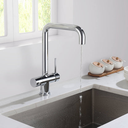 Aquavit Arena Series Water Filter Kitchen Faucet FF10022