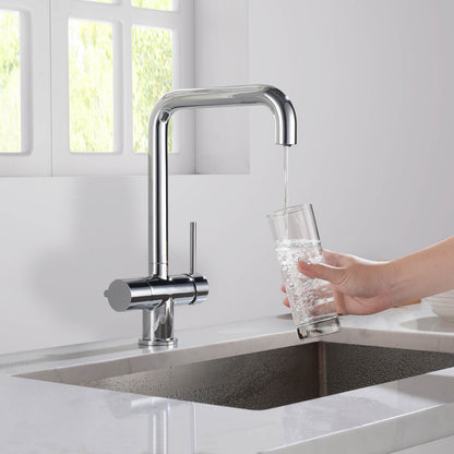 Aquavit Arena Series Water Filter Kitchen Faucet FF10022