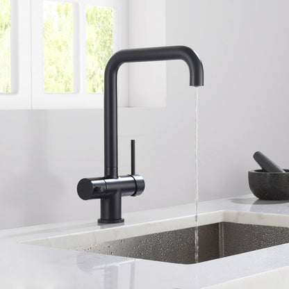 Aquavit Arena Series Water Filter Kitchen Faucet FF10022