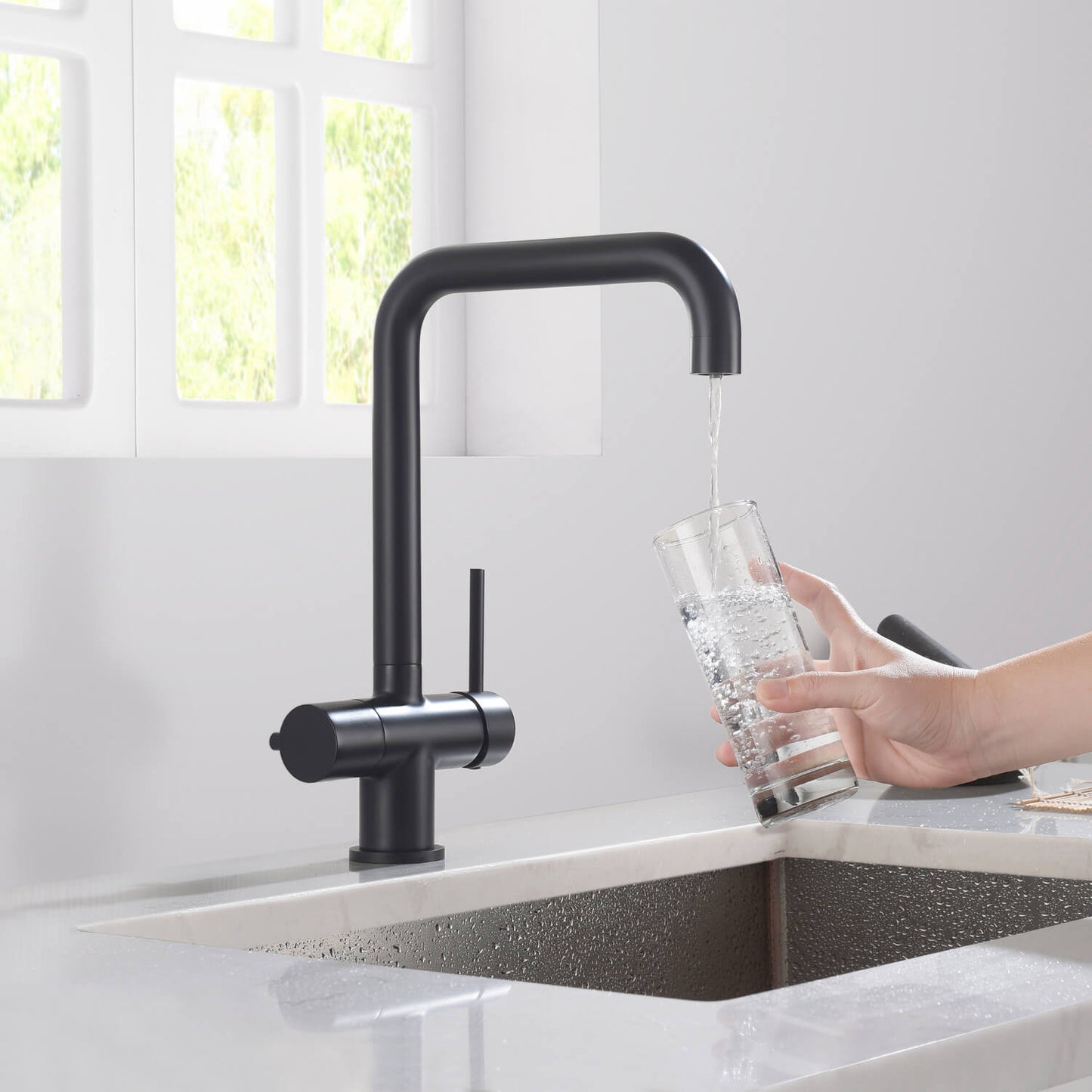 Aquavit Arena Series Water Filter Kitchen Faucet FF10022