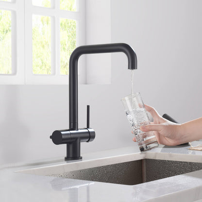 Aquavit Arena Series Water Filter Kitchen Faucet FF10022