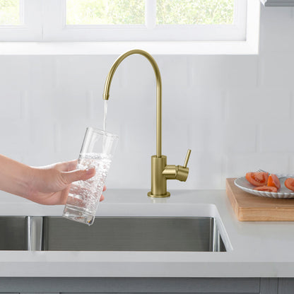Premium Lead-Free Brass Water Filtration Faucet FF1003