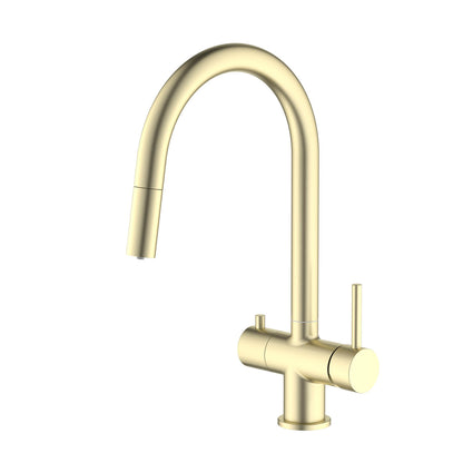 Premium Pull-Down Kitchen Faucet with Drinking Water Function FF10103