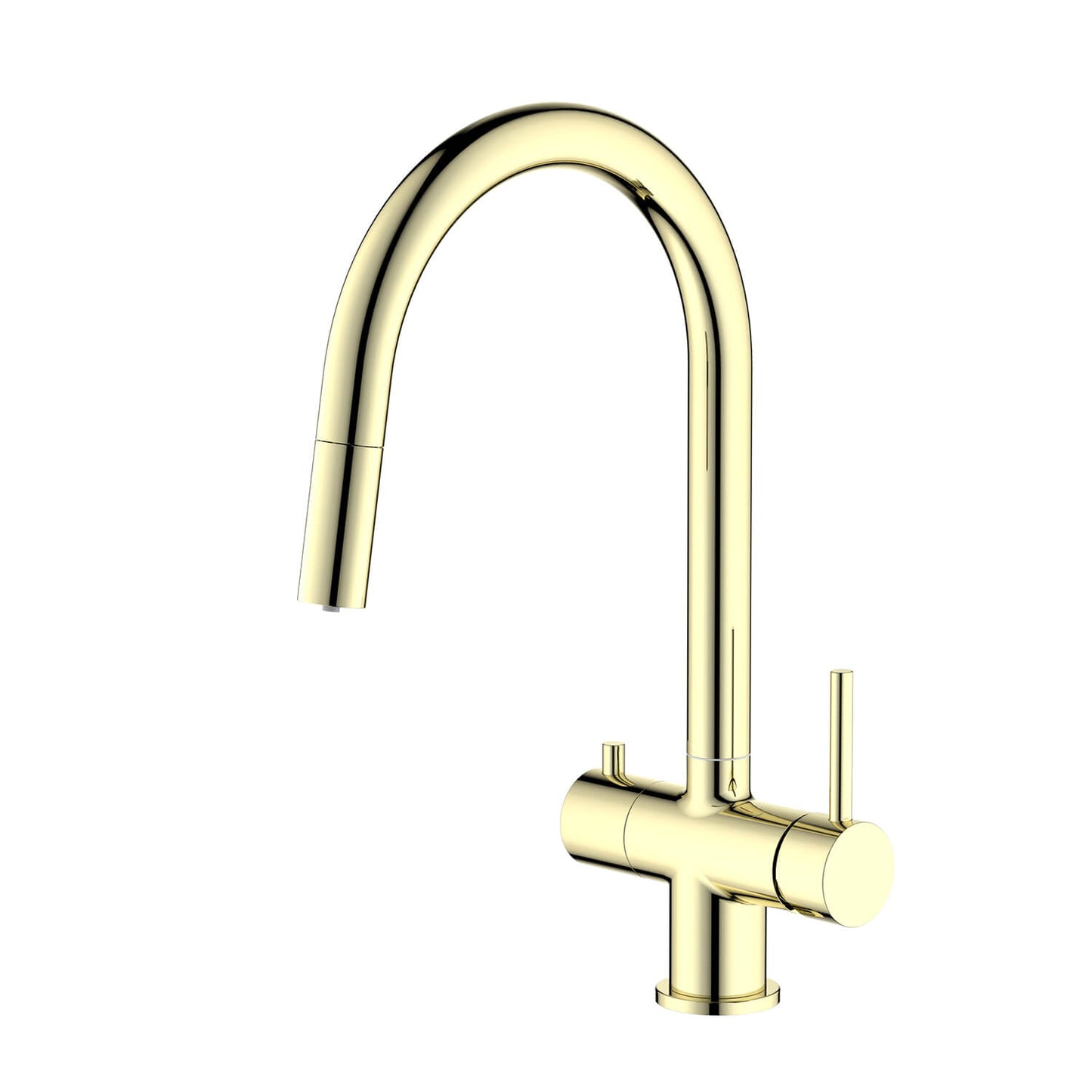 Premium Pull-Down Kitchen Faucet with Drinking Water Function FF10103