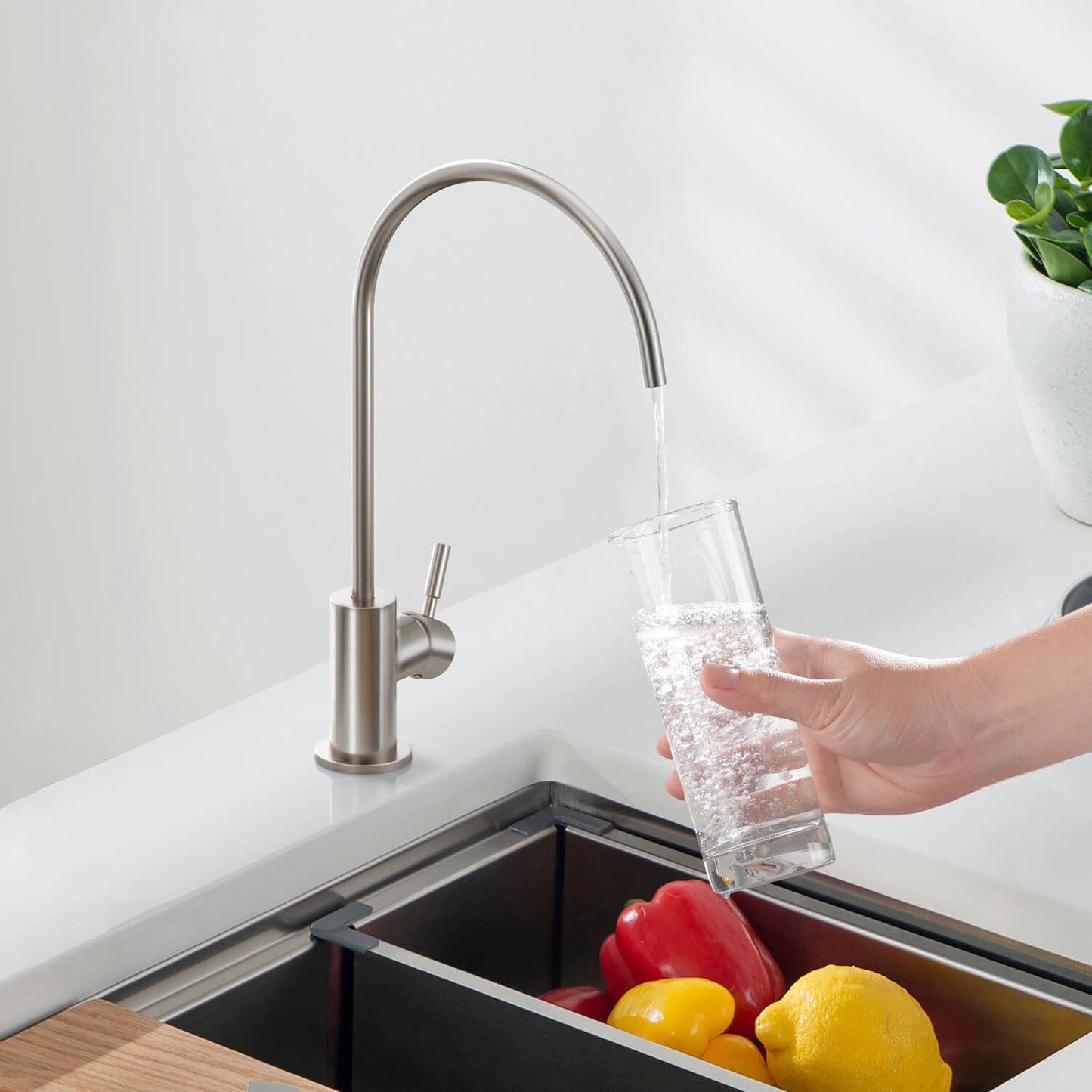 Kitchen Faucet for Safe Drinking Water FF1011