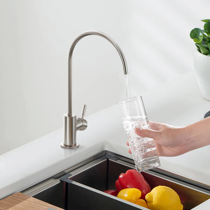Kitchen Faucet for Safe Drinking Water FF1011