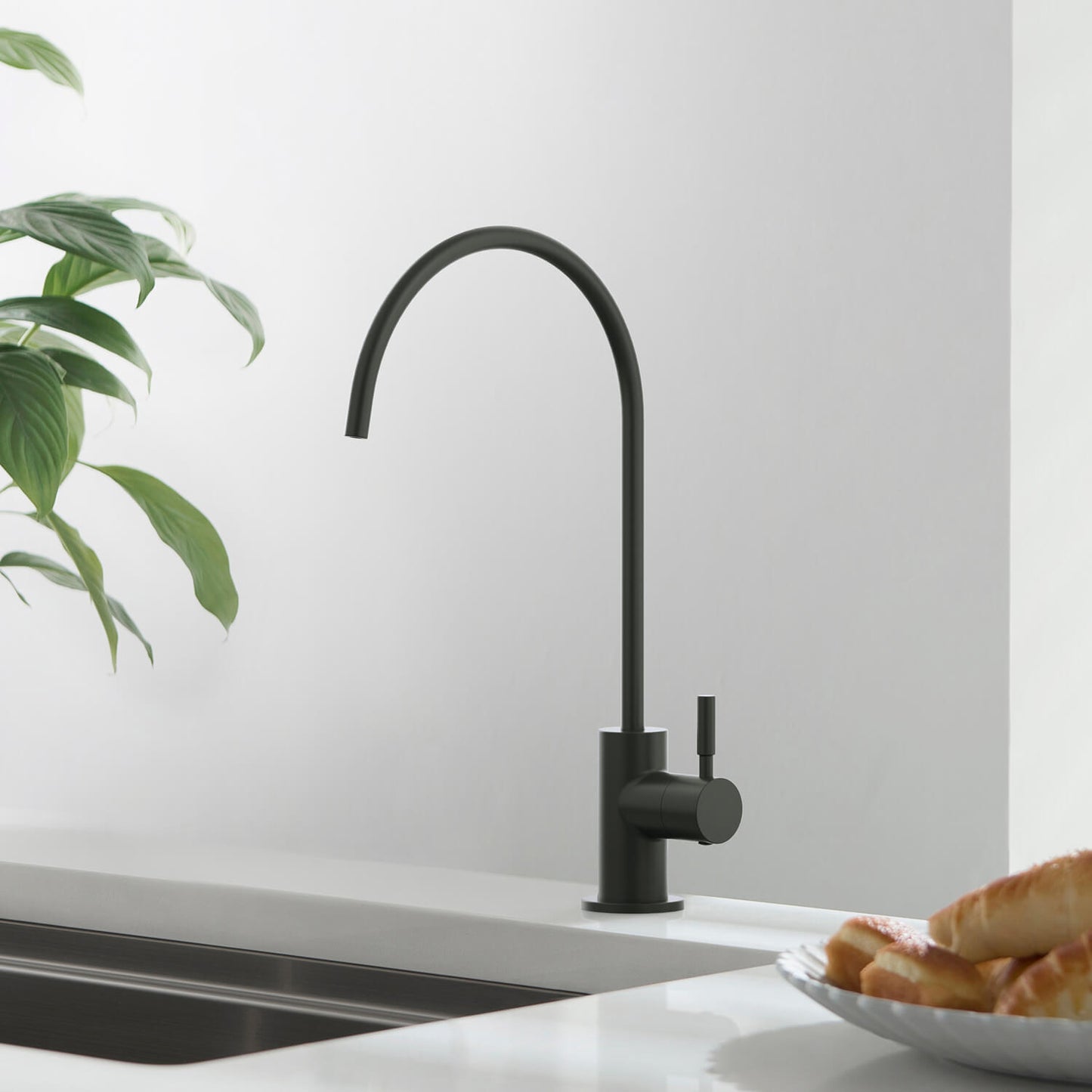 Kitchen Faucet for Safe Drinking Water FF1011