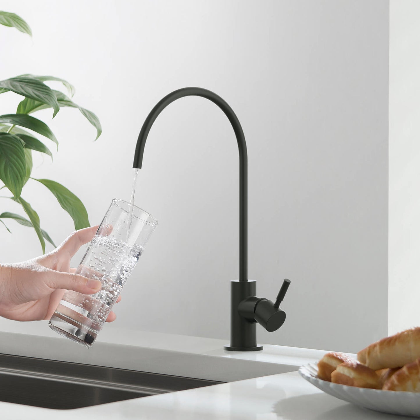 Kitchen Faucet for Safe Drinking Water FF1011