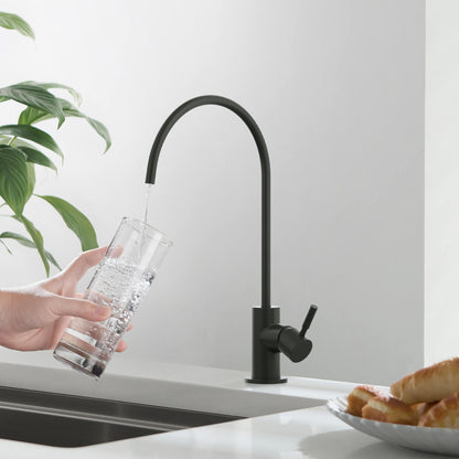 Kitchen Faucet for Safe Drinking Water FF1011