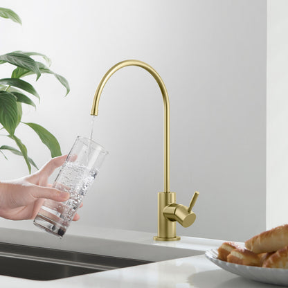 Durable Lead-Free Drinking Water Dispenser FF1012