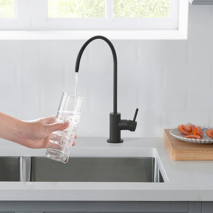 Lead-Free Brass Water Filtration Faucet with SUS304 Water Spout FF1024