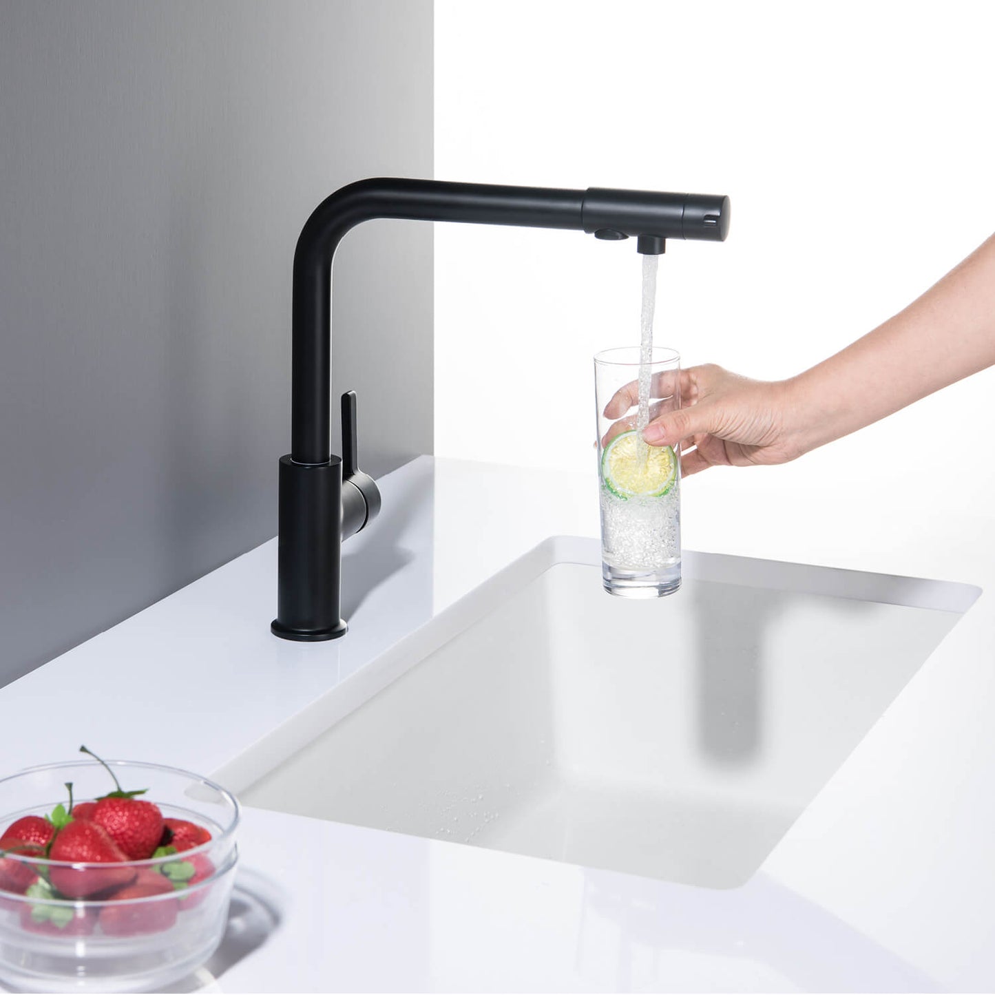 Solid Brass Kitchen Mixer with Water Filter FF1111