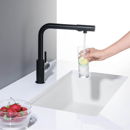 Solid Brass Kitchen Mixer with Water Filter FF1111