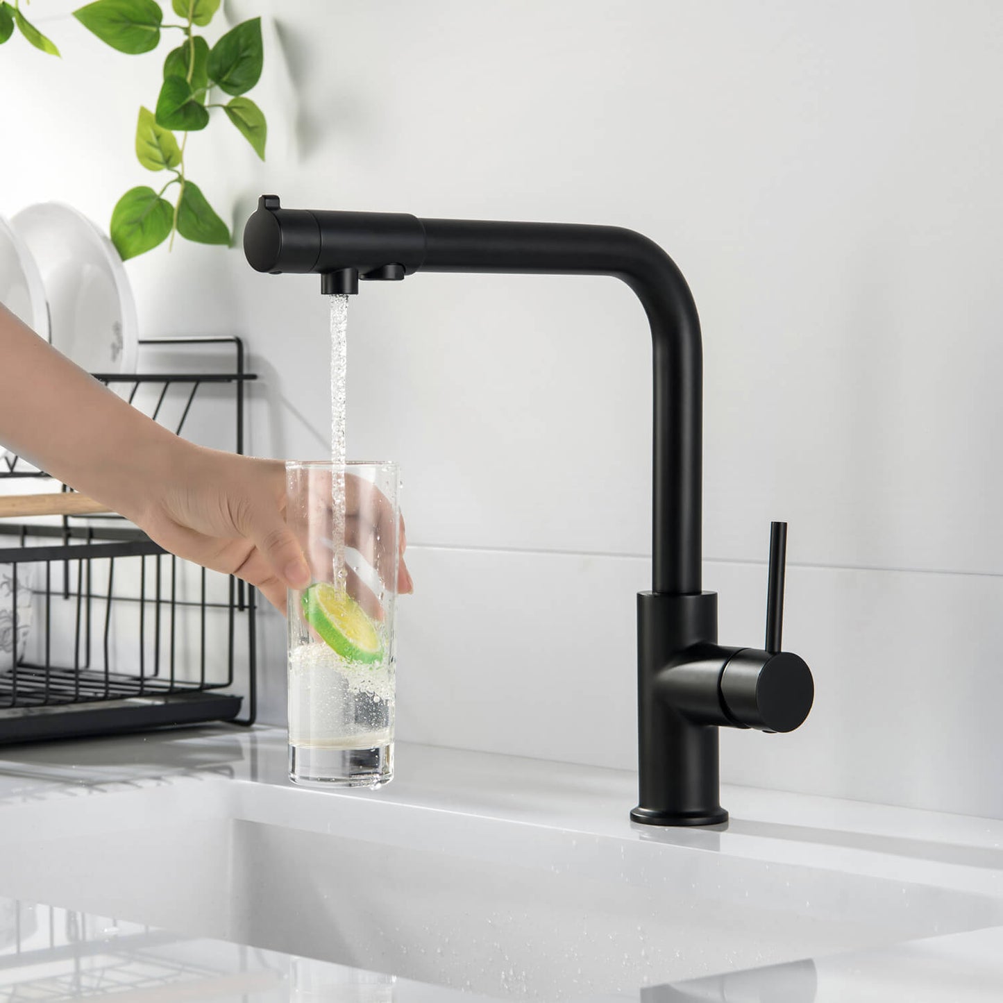 Stylish Brass Water filter Kitchen Mixer with 360° Swivel Spout FF1112