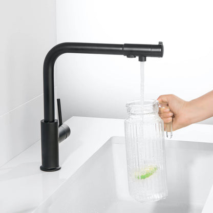 Stylish Brass Water filter Kitchen Mixer with 360° Swivel Spout FF1112