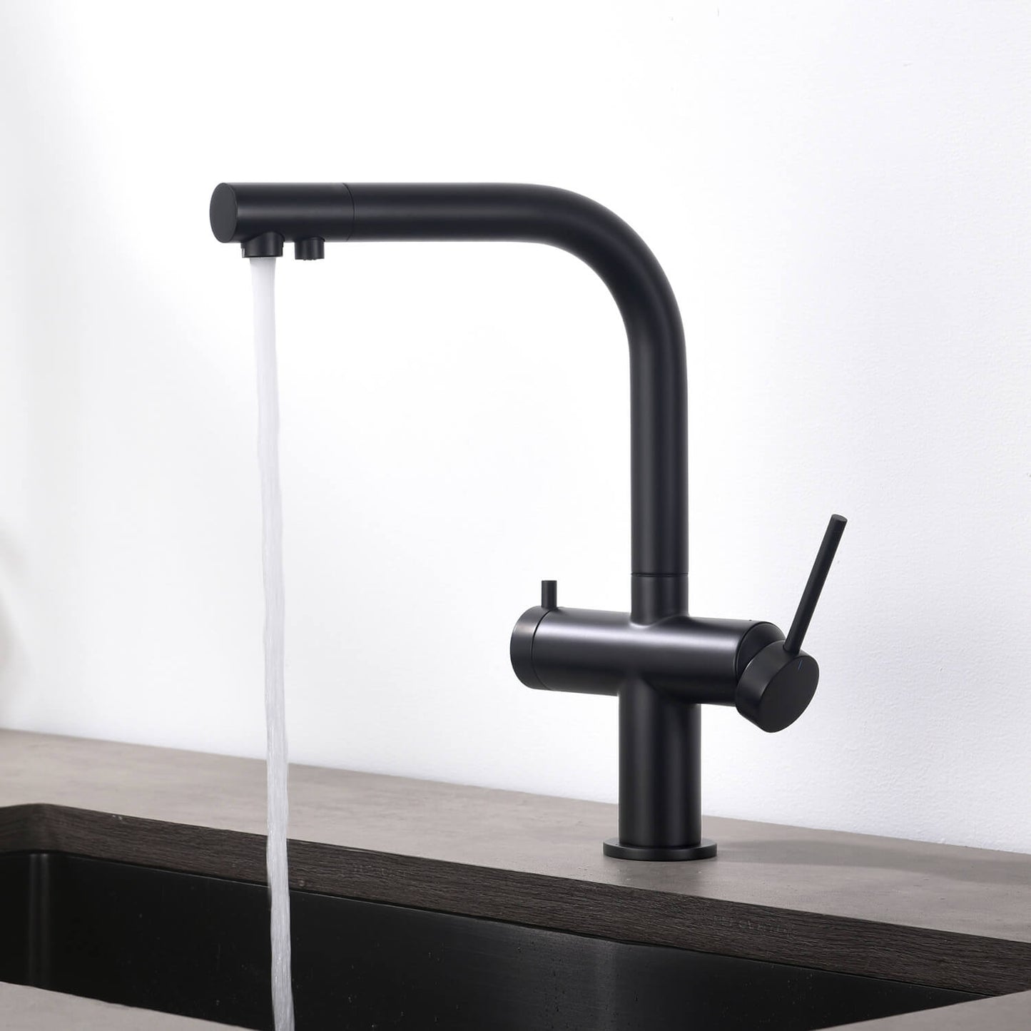 Aquavit Cylin Two-Function Kitchen Faucet with Built-In Filtration Handle FF15001