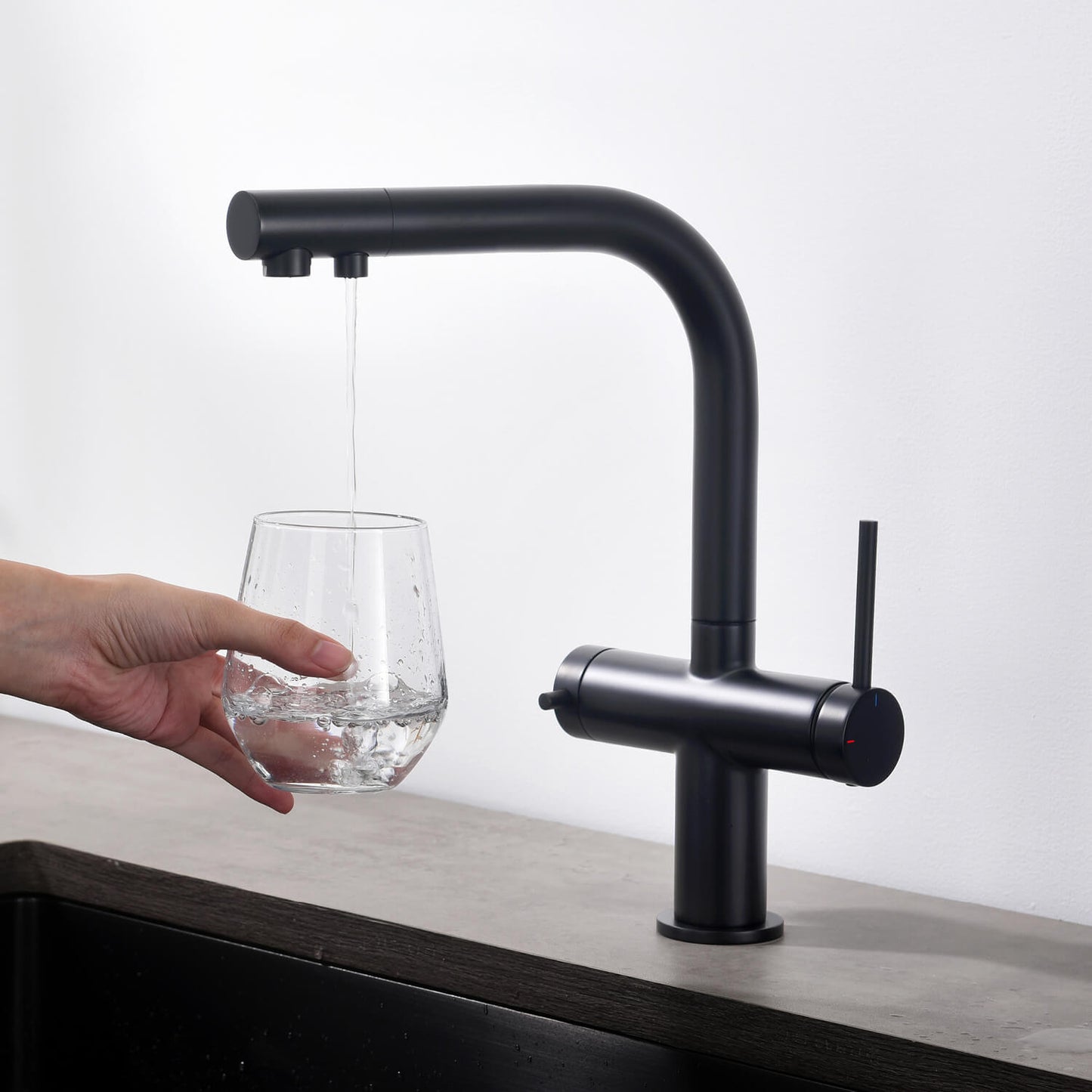 Aquavit Cylin Two-Function Kitchen Faucet with Built-In Filtration Handle FF15001