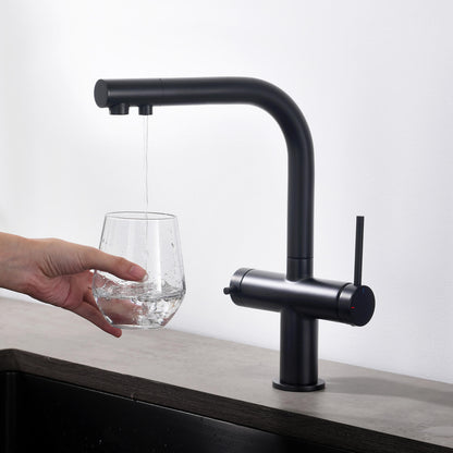 Aquavit Cylin Two-Function Kitchen Faucet with Built-In Filtration Handle FF15001