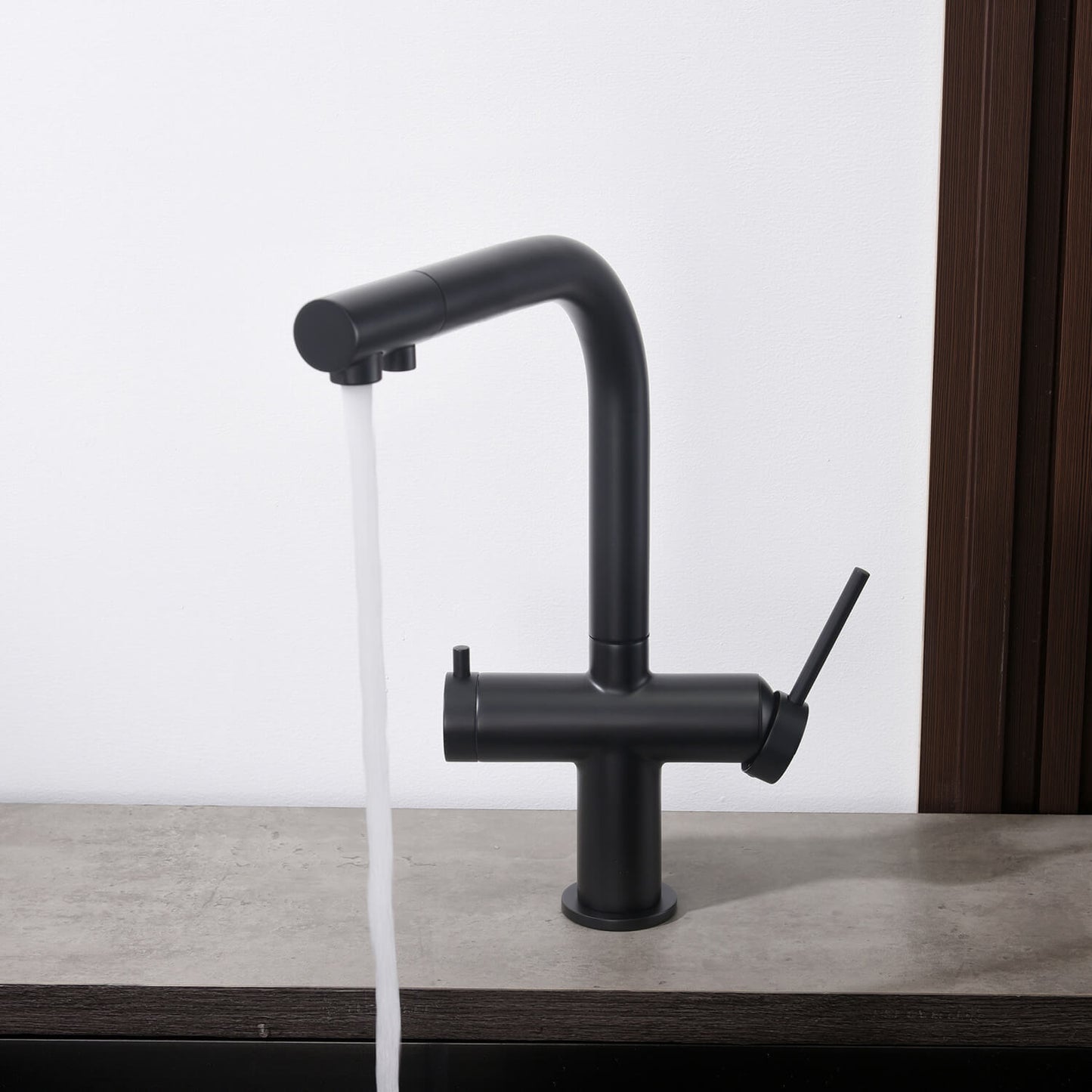 Aquavit Cylin Two-Function Kitchen Faucet with Built-In Filtration Handle FF15001